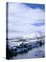 The Glenmore River in Galltair, Glenelg, Scotland-Pearl Bucknall-Stretched Canvas