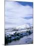 The Glenmore River in Galltair, Glenelg, Scotland-Pearl Bucknall-Mounted Photographic Print