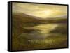 The Glimmer-Sheila Finch-Framed Stretched Canvas