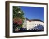 The Globe Theatre, Bankside, London, England, United Kingdom-Mark Mawson-Framed Photographic Print