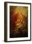 The Glory of Autumn-Jai Johnson-Framed Giclee Print