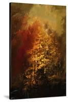 The Glory of Autumn-Jai Johnson-Stretched Canvas