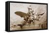 The Glory of Aviation-null-Framed Stretched Canvas