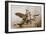 The Glory of Aviation-null-Framed Giclee Print