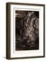 The Gnarled Monster-Gustave Dore-Framed Giclee Print