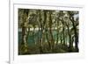 The Gnarled, Moss-Covered Trunks of Trees on the Routeburn Trak in New Zealand's South Island-Sergio Ballivian-Framed Photographic Print