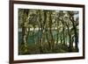 The Gnarled, Moss-Covered Trunks of Trees on the Routeburn Trak in New Zealand's South Island-Sergio Ballivian-Framed Photographic Print