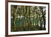 The Gnarled, Moss-Covered Trunks of Trees on the Routeburn Trak in New Zealand's South Island-Sergio Ballivian-Framed Photographic Print