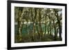 The Gnarled, Moss-Covered Trunks of Trees on the Routeburn Trak in New Zealand's South Island-Sergio Ballivian-Framed Photographic Print