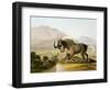 The Gnoo, 1804-Samuel Daniell-Framed Giclee Print