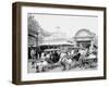 The Goat Carriages, Coney Island, N.Y.-null-Framed Photo