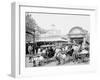 The Goat Carriages, Coney Island, N.Y.-null-Framed Photo