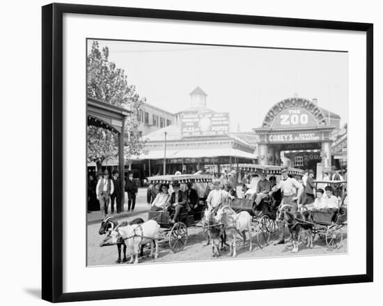 The Goat Carriages, Coney Island, N.Y.-null-Framed Photo