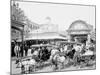 The Goat Carriages, Coney Island, N.Y.-null-Mounted Photo