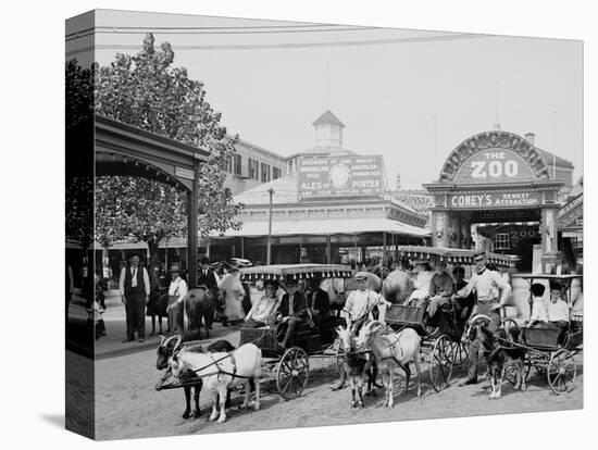 The Goat Carriages, Coney Island, New York, N.Y.-null-Stretched Canvas