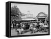 The Goat Carriages, Coney Island, New York, N.Y.-null-Framed Stretched Canvas