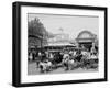 The Goat Carriages, Coney Island, New York, N.Y.-null-Framed Photo