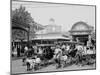 The Goat Carriages, Coney Island, New York, N.Y.-null-Mounted Photo