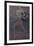 The Goddess Kali the Malevolent Aspect of Shiva's Wife Parvati-Nath Karl-Framed Photographic Print