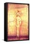 The Goddess Selket on the Canopic Shrine, from the Tomb of Tutankhamun-Egyptian 18th Dynasty-Framed Stretched Canvas