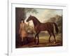 The Godolphin Arabian-John Wootton-Framed Giclee Print