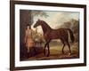 The Godolphin Arabian-John Wootton-Framed Giclee Print