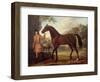 The Godolphin Arabian-John Wootton-Framed Giclee Print