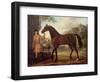 The Godolphin Arabian-John Wootton-Framed Giclee Print