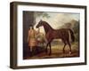 The Godolphin Arabian-John Wootton-Framed Giclee Print