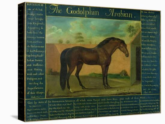 The Godolphin Arabian-D. Quigley-Stretched Canvas