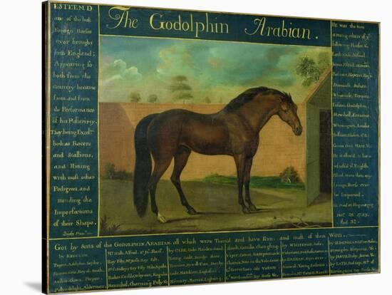 The Godolphin Arabian-D. Quigley-Stretched Canvas