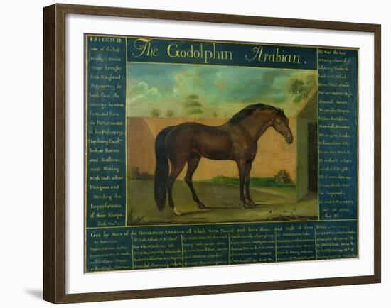 The Godolphin Arabian-D. Quigley-Framed Giclee Print