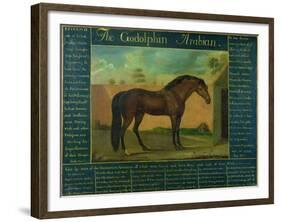 The Godolphin Arabian-D. Quigley-Framed Giclee Print