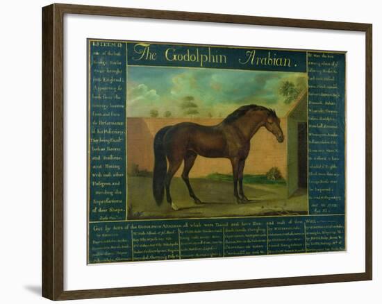 The Godolphin Arabian-D. Quigley-Framed Giclee Print