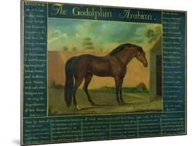 The Godolphin Arabian-D. Quigley-Mounted Giclee Print