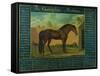 The Godolphin Arabian-D. Quigley-Framed Stretched Canvas
