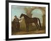 The Godolphin Arabien, Held by a Groom, in a Landscape with a Ruined Arch, 1731 (Oil on Canvas)-John Wootton-Framed Giclee Print