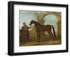 The Godolphin Arabien, Held by a Groom, in a Landscape with a Ruined Arch, 1731 (Oil on Canvas)-John Wootton-Framed Giclee Print