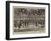 The Gold Coast-null-Framed Giclee Print