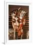 The Gold Mask, from the Treasure of Tutankhamun (circa 1370-52 BC) circa 1340 BC-null-Framed Giclee Print