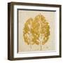 The Gold Ones I-Patricia Pinto-Framed Art Print