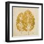 The Gold Ones I-Patricia Pinto-Framed Art Print