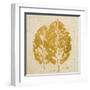 The Gold Ones I-Patricia Pinto-Framed Art Print
