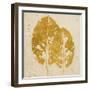 The Gold Ones II-Patricia Pinto-Framed Art Print