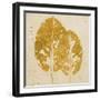 The Gold Ones II-Patricia Pinto-Framed Art Print