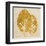 The Gold Ones II-Patricia Pinto-Framed Art Print