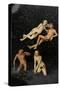 The Golden Age, C,1530-Lucas the Elder Cranach-Stretched Canvas