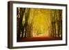 The Golden Arch-Philippe Sainte-Laudy-Framed Photographic Print