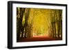 The Golden Arch-Philippe Sainte-Laudy-Framed Photographic Print