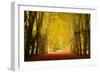 The Golden Arch-Philippe Sainte-Laudy-Framed Photographic Print